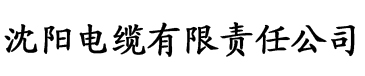 大香蕉久在线视频电缆厂logo